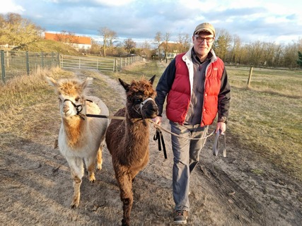 Tiergehege Schildipark Panketal in Hobrechtsfelde